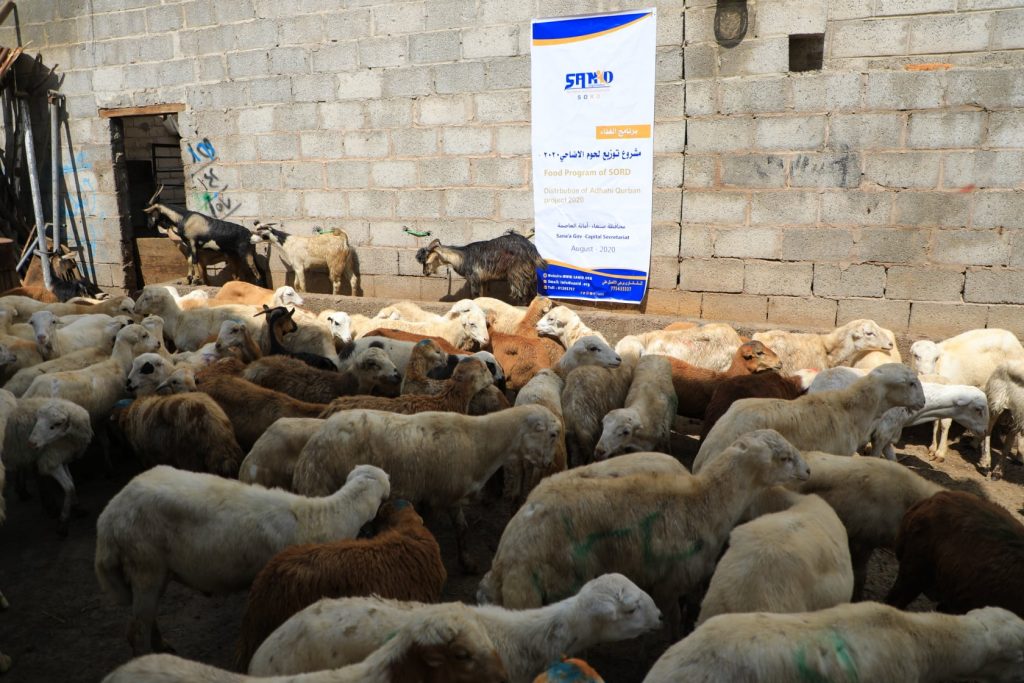 distribution of Eid sacrifices to vulnerable and needy families August 2020